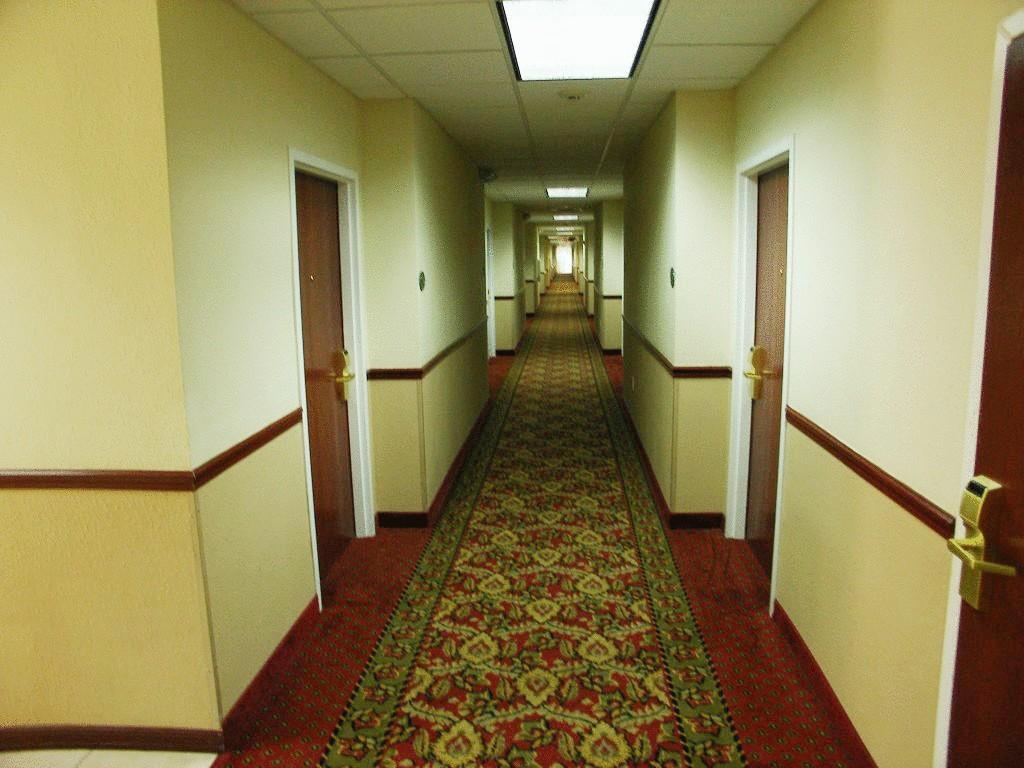 Quality Inn Zephyrhills-Dade City Zewnętrze zdjęcie
